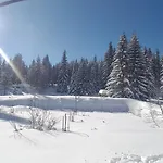 Paradise *
