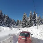 Paradise