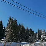 Paradise * ヤホリナ