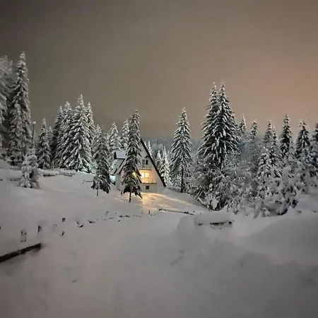 Apartment Paradise *