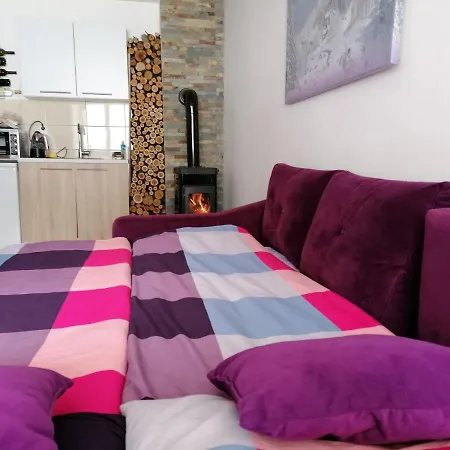 Apartment Studio Apartman Paradise *