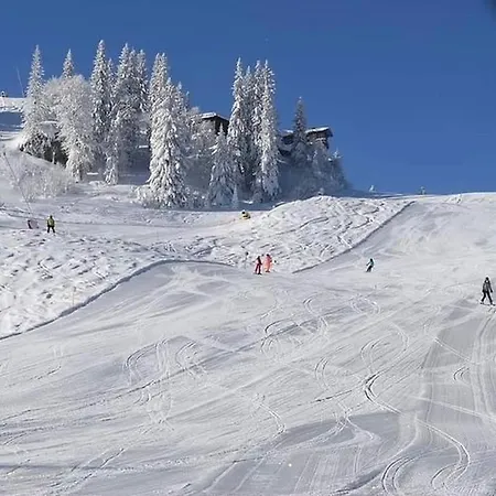 Studio Apartman Paradise Apartment Jahorina