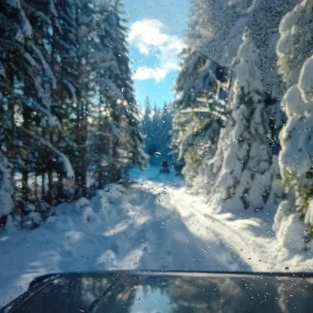 Apartment Studio Apartman Paradise Jahorina