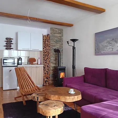 Studio Apartman Paradise *