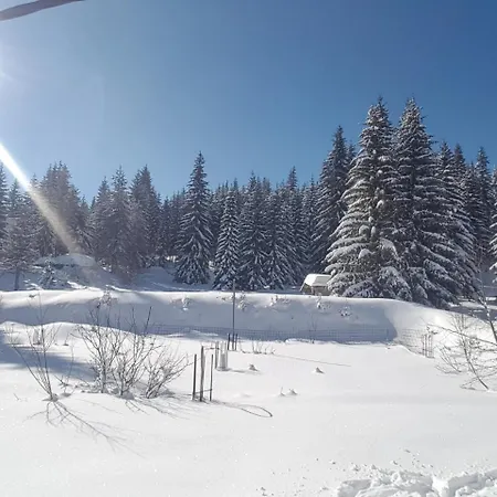 Paradise *
