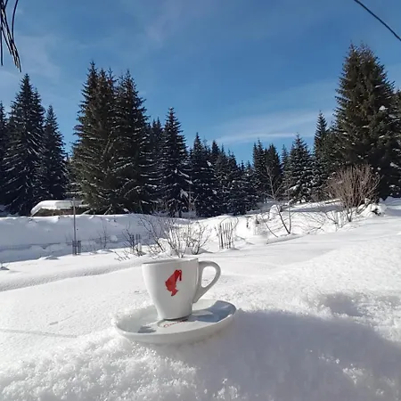 Apartment Studio Apartman Paradise Jahorina