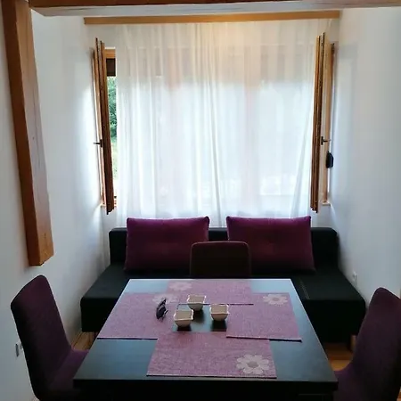 Apartment Studio Apartman Paradise