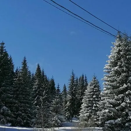 Apartmán Paradise *